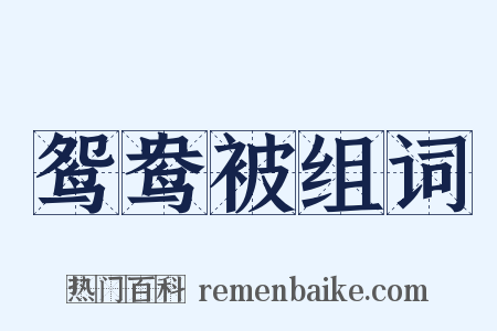 鸳鸯被组词是什么意思的图片